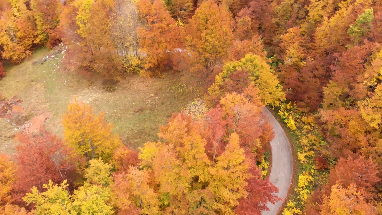 vista aérea de caminos increíbles a través del parque nacional durmitor en montenegro lleno de increíbles colores de otoño durante el otoño