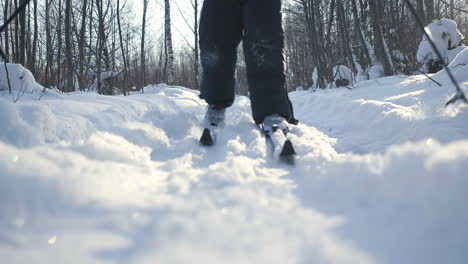 cross-country skiing in a snowy forest