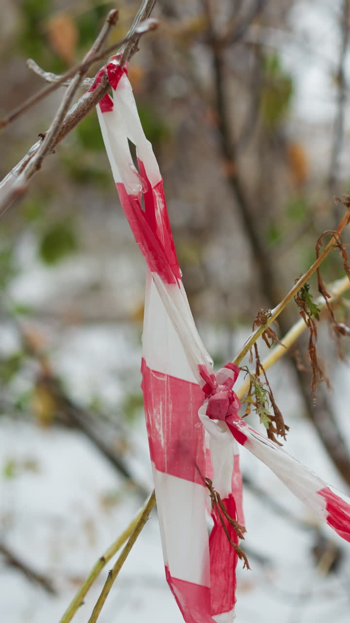 primer plano de cinta plástica roja y blanca atada a ramas secas de árboles con un fondo invernal borroso, mostrando texturas heladas y movimiento sutil de un coche que pasa en la distancia, mezclando urbano