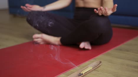 mujer meditando con hierbas y incienso quemados, vista recortada