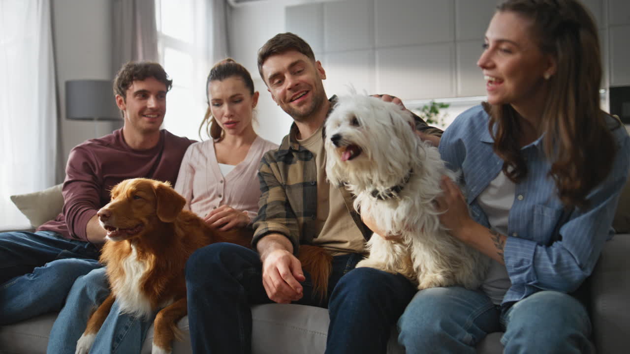 Positive people stroking dogs at weekend home. Happy owners relaxing on couch
