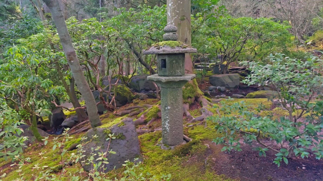 Lanterna di pietra centrata e circondata da piante da giardino muschiose e alberi maturi in un paesaggio pacifico.