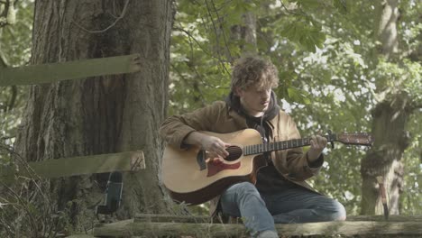 el joven toca la guitarra acústica y canta sentado bajo un árbol sombreado