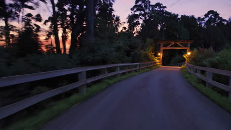 sunset drive through forest path
