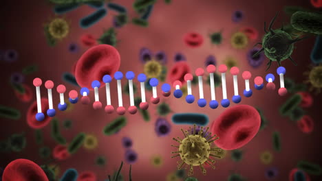 animación digital de la estructura del adn que gira sobre múltiples células y vasos sanguíneos de covid-19