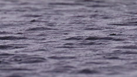 A-close-up-shot-of-raindrops-on-the-water-surface-of-the-lake
