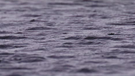 un primer plano de gotas de lluvia en la superficie del agua del lago