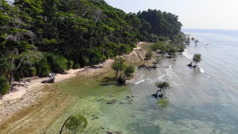 Drohnenschuss,-Der-Sich-Vom-Strand-Eines-Abgelegenen-Andamanischen-Ortes-Mit-Mangrovenbäumen,-Riffen-Und-Türkisfarbenem-Meerwasser-Und-Einigen-Kleinen-Wellen-Mit-Wald-Direkt-Am-Strand-Entfernt