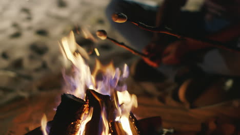 hands holding a stick with a marshmallow over the fire