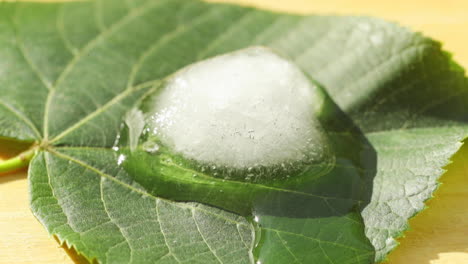 cubo de hielo de lapso de tiempo derritiéndose a la luz solar directa durante los días de verano en hojas caídas durante un cambio lento en el agua vista macro de primer plano capturada en fondo de madera capturada a alta velocidad a 24 fps