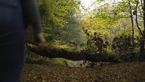 Frau-Klettert-über-Den-Bemoosten-Stamm-Eines-Umgestürzten-Baumes,-Der-Den-Weg-Des-Waldes-Versperrt