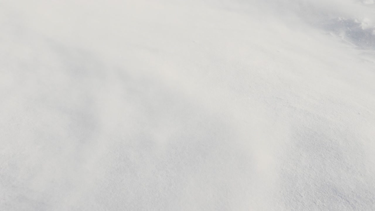 el fondo de invierno, la tormenta de nieve barrea el camino, hermoso frío de invierno.