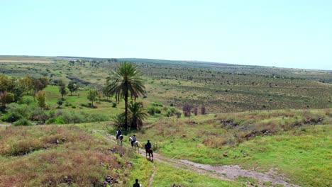 cabalgando en la naturaleza 2