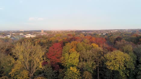 Skyline-of-the-beautiful-coloured-autumn-park-in-Woluwe,-Brussels---Belgium