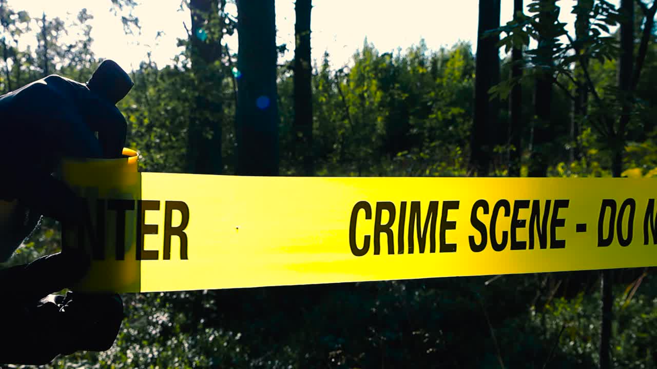 Close up view of a police detective or investigator unravel or unrolling and pulling a yellow colored Crime scene tape in front of a wooded area or a forest during a sunny day, tape is backlit by sun