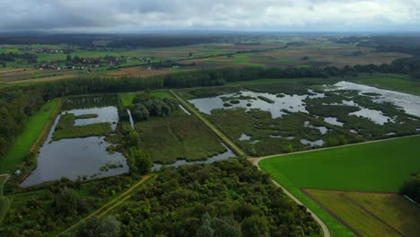 The-Ormoške-lagune-Natural-Reserve-Park-covers-an-area-of-over-220-hectares,-and-features-a-diverse-range-of-landscapes,-including-marshes,-lakes,-meadows,-and-forests