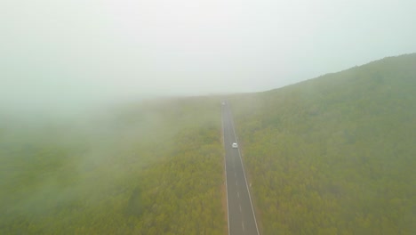 vehicles traveling on misty mountain road between green forests in madeira, portugal - aerial shot