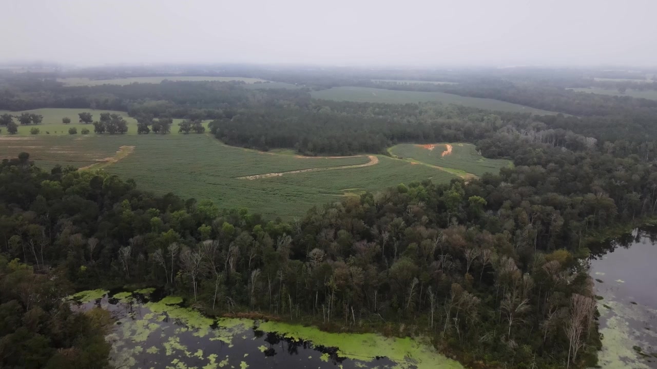 Paesaggio di natura protetta con lago e foreste all'alba. Ripresa aerea con drone.