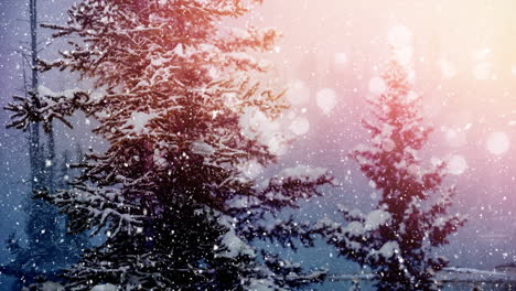 nieve cayendo y abetos