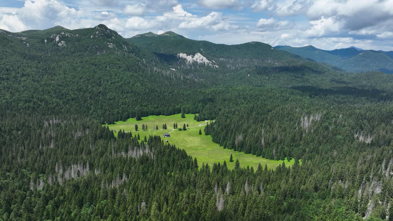 горная долина с хижиной и лесом