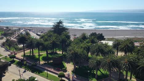 aerial:parque ross, drone shot historic place beach view surf point park contains native canary date palms over a hundred years old and many green spaces pichilemu puntilla punta de lobos chile