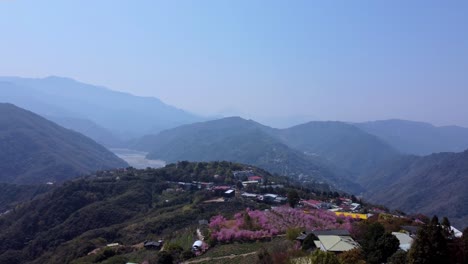 A-mountain-village-with-blossoming-trees-and-a-river-in-the-distance,-daylight,-aerial-view