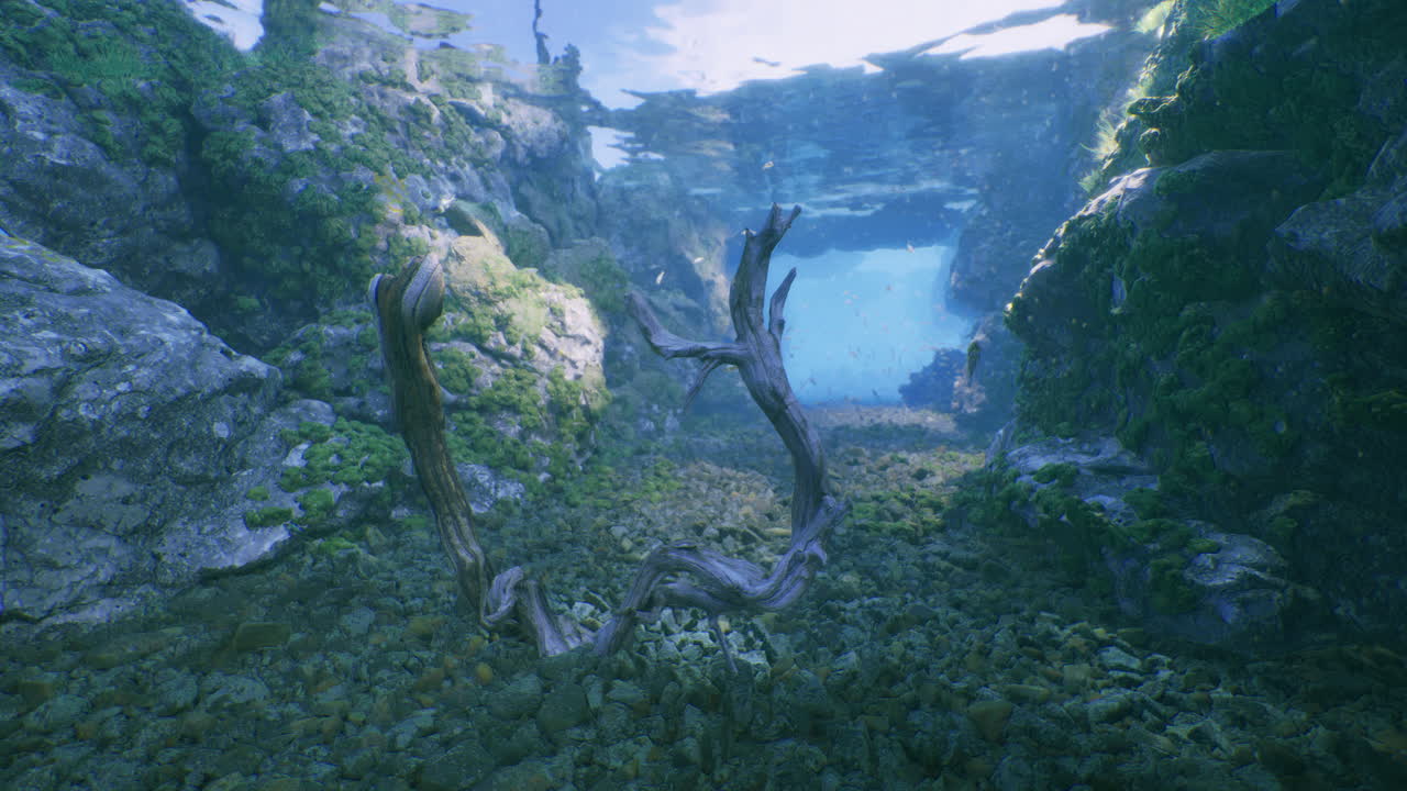 Underwater view showcasing rocky terrain and driftwood in a serene setting
