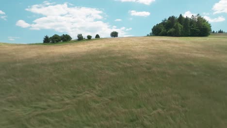 Drohne-Schwebt-über-Idyllischer-Ländlicher-Landschaft-Und-Nähert-Sich-Einem-Einsamen-Baum