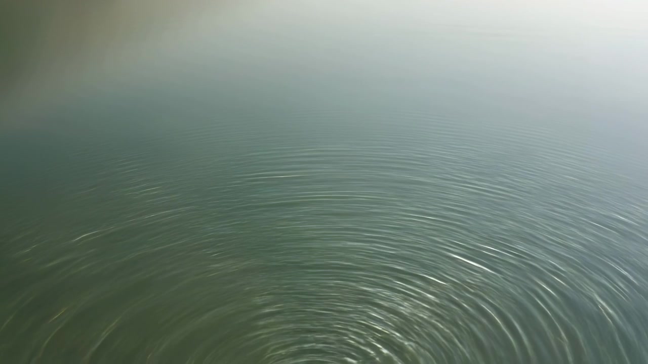 Acqua verde calma riempie l'inquadratura mentre morbide increspature concentriche si diffondono sulla superficie, con nebbia e foschia pallide che sfumano nello sfondo di un ambiente naturale tranquillo.