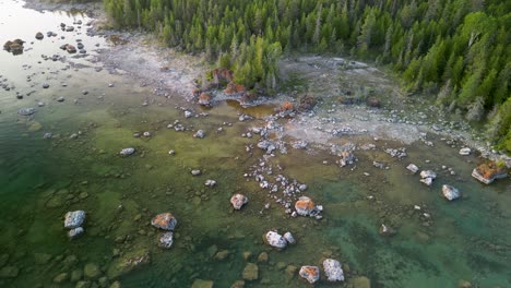 Aerial-downward-view-of-coastline-boulders-in-lake-and-forested-area-beach,-Lake-Huron,-Michigan