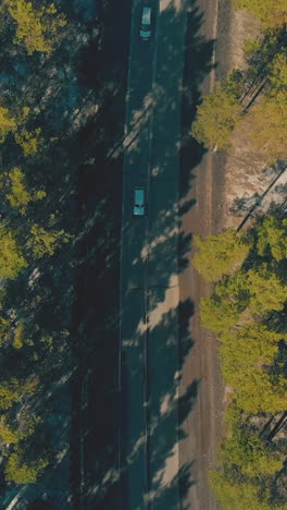 white cars drive along asphalt road in trees thick shadows of pine forest with snow sites on ground vertical upper view
