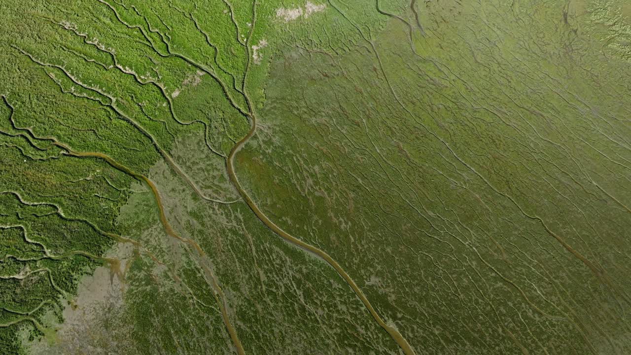 paralaje aéreo de satélite como vista de las llanuras inundables de slikken van voorne, paisaje de marea