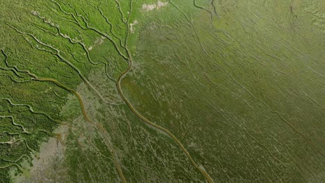 aerial parallax of satellite like view of slikken van voorne floodplains, tidal landscape