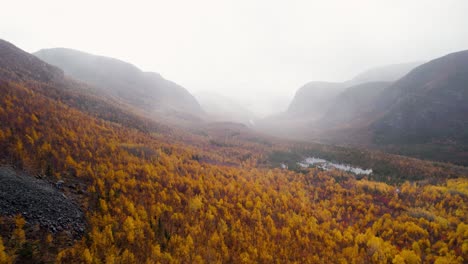 vista aérea de las pintorescas montañas en otoño, densas nubes de niebla un bosque amarillo dorado con denso dosel de árboles en la región de quebec, canadá