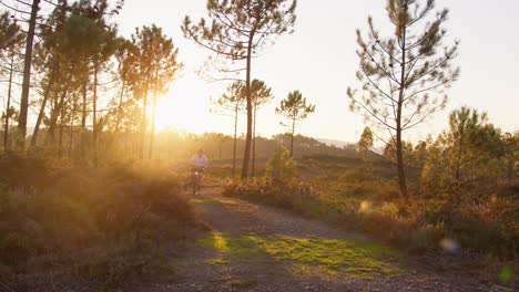 un ciclista navega una curva y cabalga cuesta abajo por un camino de tierra, rodeado por un pacífico bosque de pinos e iluminado por la cálida luz dorada de la puesta de sol, filmado en cámara lenta.