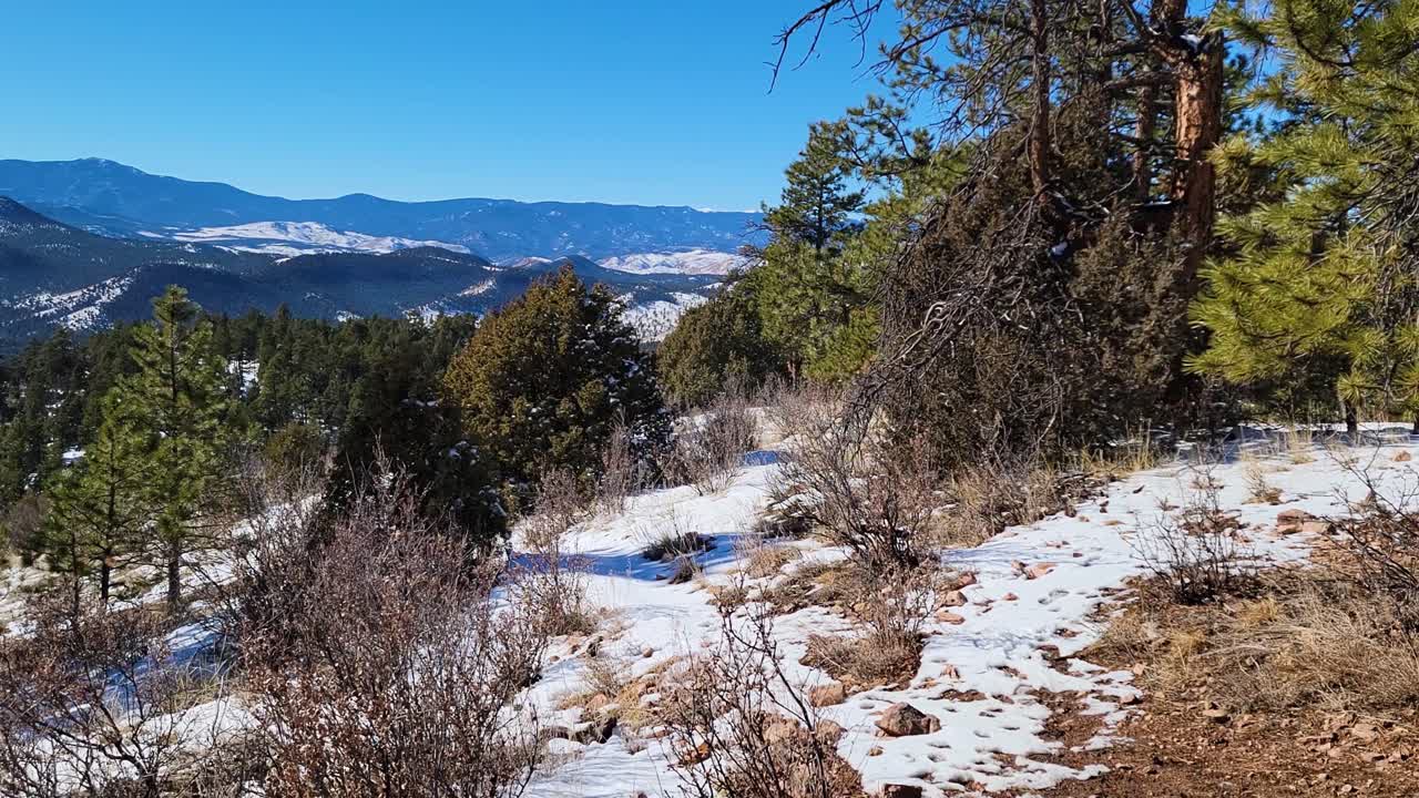 panorama del bosque de montaña en colorado en un soleado día de invierno con nieve en las montañas rocosas - toma amplia