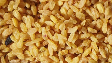 close-up of golden raisins