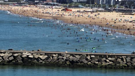 escena de playa llena de gente disfrutando del océano