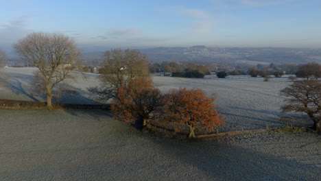 Establishing-Aerial-Drone-Shot-on-Frosty-Morning-of-Fields-and-Trees