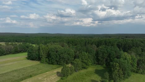 aerial hyper lapse of natural green forest with clouds formation windy weather