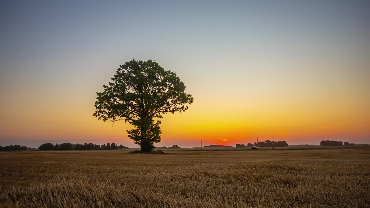 Magical golden sunrise over horizon in rural countryside with a single tree