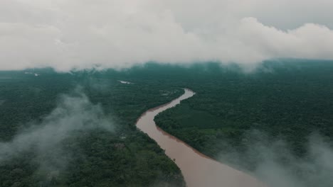 vast forest landscape of the amazon in ecuador - aerial shot