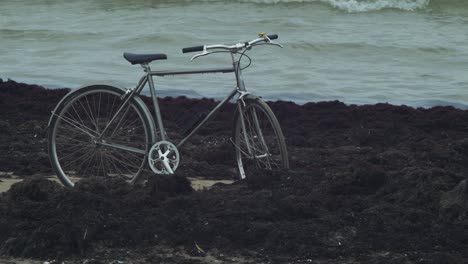 Gray-bicycle-parked-at-the-coast-of-the-Baltic-sea,-dead-seaweed-thrown-up-in-quantity-by-the-waves-on-a-white-sand-beach,-environmental-pollution,-overcast-autumn-day,-medium-shot