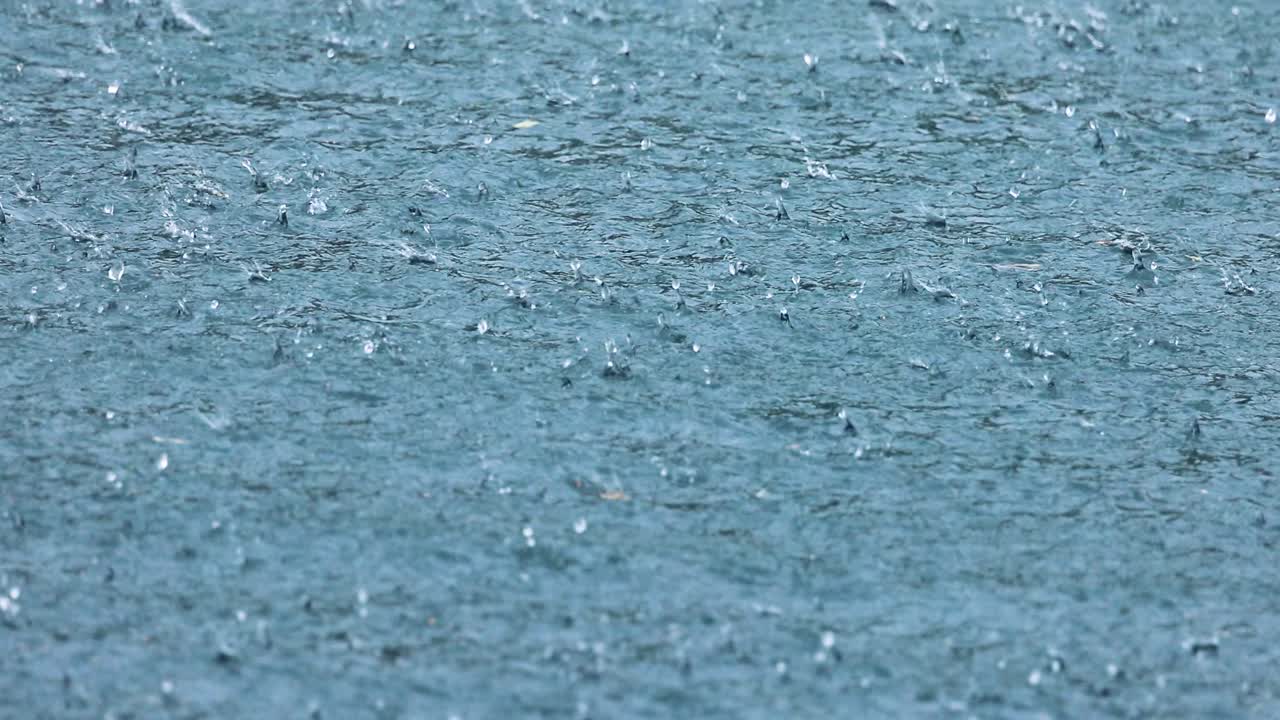 Abstract background, rain drops on the water.