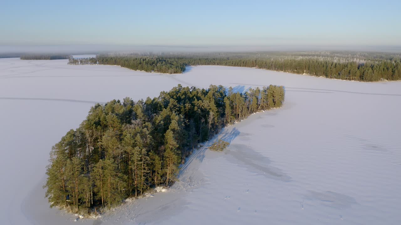 얼어붙은 호수와 작은 나무 섬 위로 앞으로 움직이는 조감도