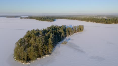 vista aérea en movimiento hacia adelante sobre el lago congelado y la pequeña isla de árboles