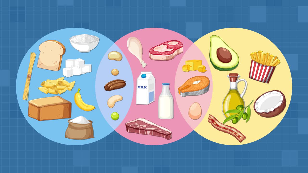 Three overlapping circles animate to sort various foods by group, using flat vector graphics