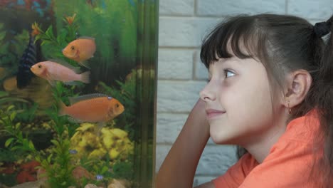 el niño se relaja en el acuario.
