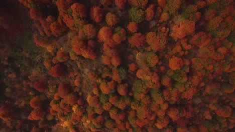 Atemberaubende-Momente-Fliegen-über-Lebhaften-Wald-Mit-Bunten-Bäumen-In-Der-Herbstsaison-Wolken-Bewegen-Sich-Schnell-Wie-Ein-Vogel-Auf-Dem-Campingplatz-In-Wilder-Natur-Und-Bergwald-Wandern-Im-Kalten-Oktober-Bei-Sonnenuntergang