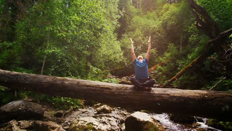 man meditating in the forest on a log